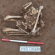 The kneeling decapitated skeleton, found in China’s Henan province.